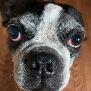 Meet your Posher, James